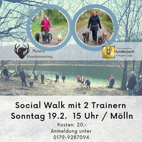 Social Walk mit 2 Trainern